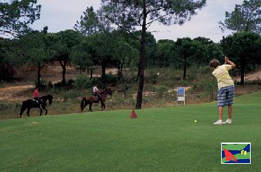 Appartement de vacances /en/au Faro (Algarve)ou appartement ou maison de vacances