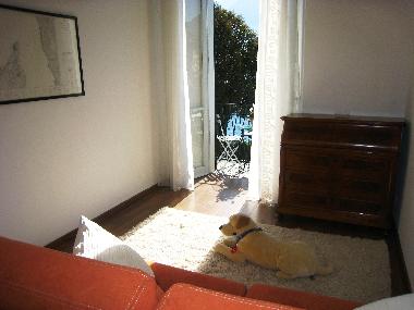 Appartement de vacances /en/au Sala Comacina (Como)ou appartement ou maison de vacances