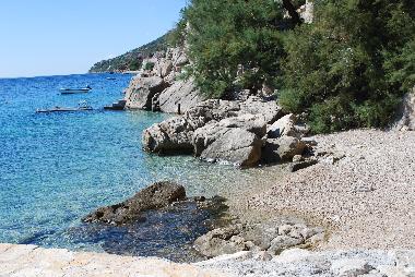 Appartement de vacances �/en/au Pisak (Splitsko-Dalmatinska)ou appartement ou maison de vacances