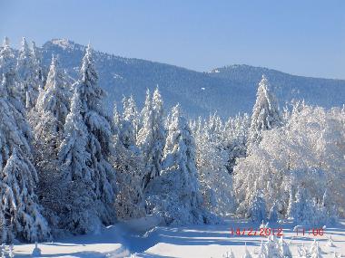 Appartement de vacances �/en/au Samokov (Sofiya-Grad)ou appartement ou maison de vacances