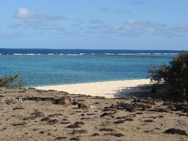 Villa �/en/au Port Mathurin (Rodrigues)ou appartement ou maison de vacances