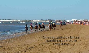 Appartement de vacances /en/au Rota (Cdiz)ou appartement ou maison de vacances