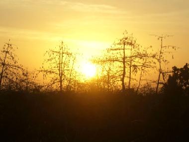 Maison de vacances �/en/au denpasar (Bali)ou appartement ou maison de vacances