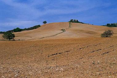 Chambre avec petit djeuner /en/au Belforte Radicondoli (Siena)ou appartement ou maison de vacances