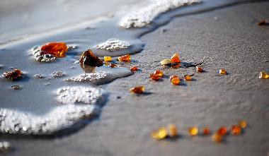 Appartement de vacances �/en/au Liepaja (Lettland)ou appartement ou maison de vacances