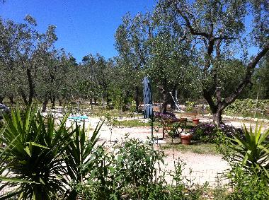 Appartement de vacances /en/au Vieste (Foggia)ou appartement ou maison de vacances