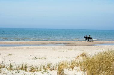 Maison de vacances �/en/au Liepaja (Lettland)ou appartement ou maison de vacances