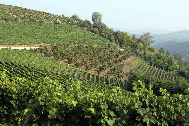 Maison de vacances �/en/au Alba (Cuneo)ou appartement ou maison de vacances