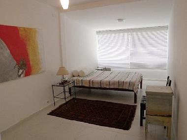 Appartement de vacances �/en/au Rio de Janeiro (Rio de Janeiro)ou appartement ou maison de vacances