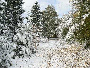 Chalet /en/au GERBPAL (Vosges)ou appartement ou maison de vacances