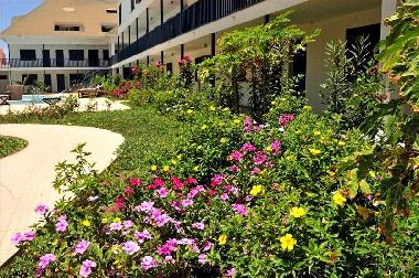 Appartement de vacances �/en/au Santa Maria (Sal)ou appartement ou maison de vacances