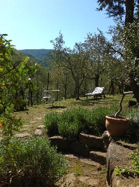 Maison de vacances /en/au 52031 (Arezzo)ou appartement ou maison de vacances