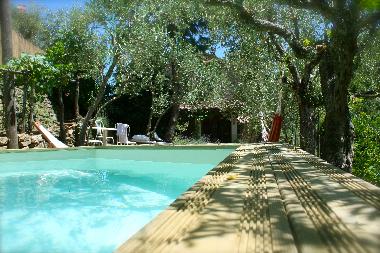 Maison de vacances /en/au 52031 (Arezzo)ou appartement ou maison de vacances