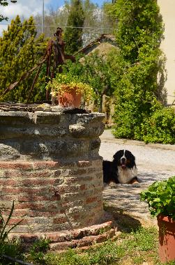 Chambre avec petit djeuner /en/au Lucignano (Arezzo)ou appartement ou maison de vacances