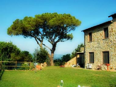 Maison de vacances �/en/au Suvereto (Grosseto)ou appartement ou maison de vacances