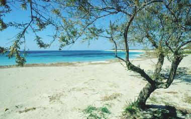 Maison de vacances �/en/au Suvereto (Grosseto)ou appartement ou maison de vacances