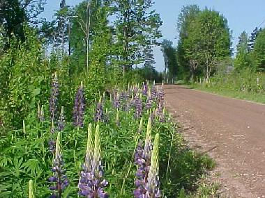 Maison de vacances �/en/au Kr�kshult / Mariannelund (Smaland)ou appartement ou maison de vacances