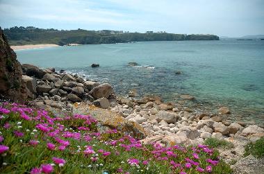 Maison de vacances /en/au Cambados (Pontevedra)ou appartement ou maison de vacances