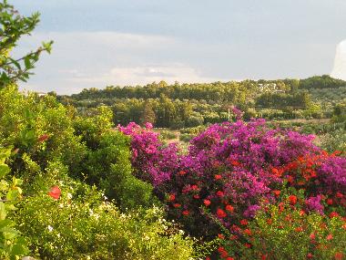 Villa �/en/au Porto Heli (Argolida)ou appartement ou maison de vacances