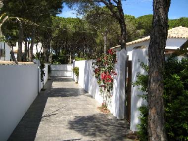 Maison de vacances /en/au Chiclana de la Frontera (Cdiz)ou appartement ou maison de vacances