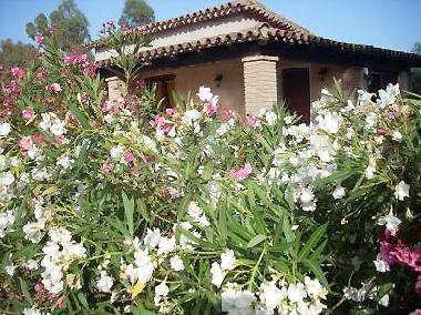 Maison de vacances �/en/au PULA (Cagliari)ou appartement ou maison de vacances