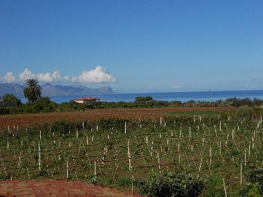 Maison de vacances /en/au Partinico (Palermo)ou appartement ou maison de vacances