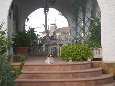 Maison de vacances /en/au Pinar de Campoverde (Alicante / Alacant)ou appartement ou maison de vacances