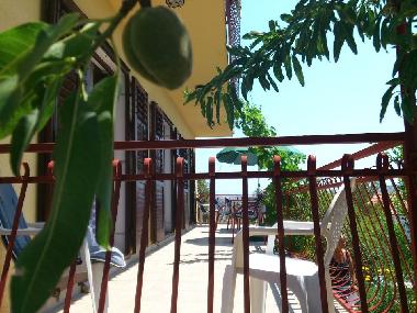 Appartement de vacances /en/au Primosten (Sibensko-Kninska)ou appartement ou maison de vacances