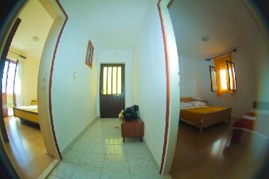 Appartement de vacances /en/au Primosten (Sibensko-Kninska)ou appartement ou maison de vacances