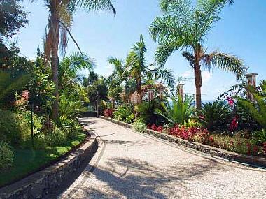 Villa /en/au Funchal (Madeira)ou appartement ou maison de vacances