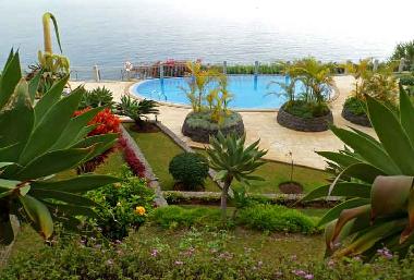 Appartement de vacances /en/au Funchal (Madeira)ou appartement ou maison de vacances