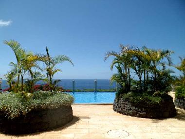 Appartement de vacances /en/au Funchal (Madeira)ou appartement ou maison de vacances