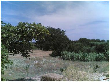 Maison de vacances �/en/au Cisternino (Brindisi)ou appartement ou maison de vacances