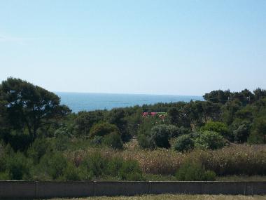 Appartement de vacances /en/au Cascais Guincho (Grande Lisboa)ou appartement ou maison de vacances