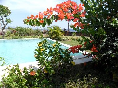 Villa �/en/au Ume Anyar (Bali)ou appartement ou maison de vacances