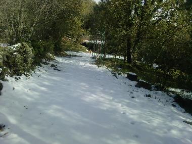 Appartement de vacances �/en/au Zafferana Etnea (Catania)ou appartement ou maison de vacances