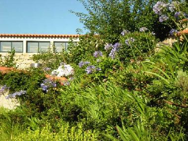 Maison de vacances �/en/au Calheiros-Ponte de Lima (Norte)ou appartement ou maison de vacances