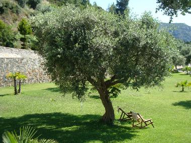 Appartement de vacances /en/au Porto Koufo (Chalkidiki)ou appartement ou maison de vacances