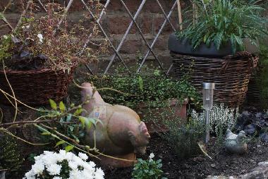 Appartement de vacances �/en/au COLMAR (Haut-Rhin)ou appartement ou maison de vacances