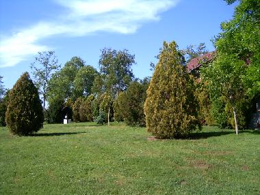 Chambre avec petit d�jeuner �/en/au Szabadkigyos (Bekes)ou appartement ou maison de vacances