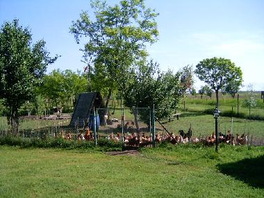 Chambre avec petit d�jeuner �/en/au Szabadkigyos (Bekes)ou appartement ou maison de vacances