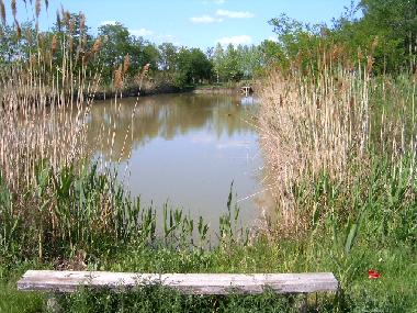 Chambre avec petit d�jeuner �/en/au Szabadkigyos (Bekes)ou appartement ou maison de vacances