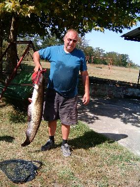 Chambre avec petit d�jeuner �/en/au Szabadkigyos (Bekes)ou appartement ou maison de vacances