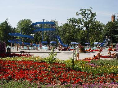 Chambre avec petit d�jeuner �/en/au Szabadkigyos (Bekes)ou appartement ou maison de vacances