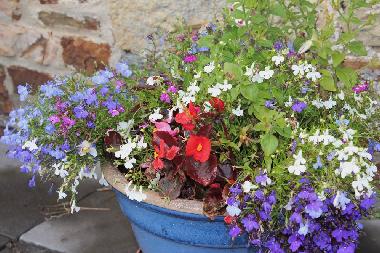 Maison de vacances �/en/au Camelford (South West)ou appartement ou maison de vacances