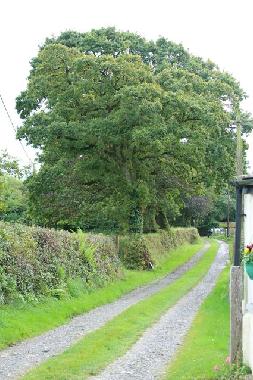 Maison de vacances �/en/au Camelford (South West)ou appartement ou maison de vacances