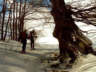 Maison de vacances /en/au San Pietro della Ienca (L