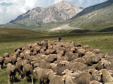 Maison de vacances /en/au San Pietro della Ienca (L
