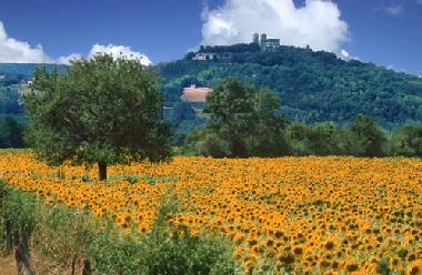 Maison de vacances �/en/au V�zelay (Yonne)ou appartement ou maison de vacances