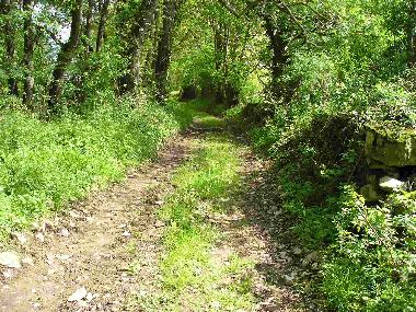 Maison de vacances �/en/au V�zelay (Yonne)ou appartement ou maison de vacances